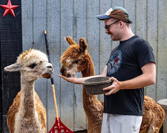Donkey and Alpaca Experience - Image 2