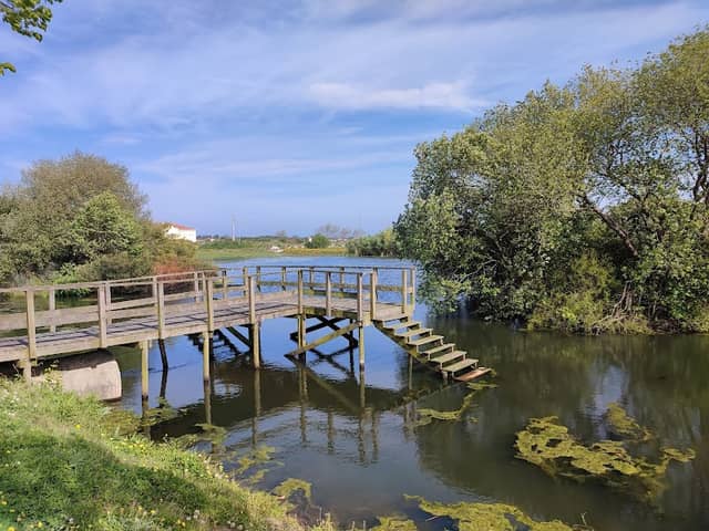 Parque Municipal da Murtosa - Image 1