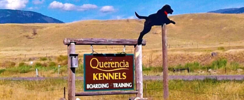 Querencia Kennels - Image 1