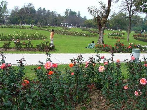 Rose garden Bathinda - Image 1
