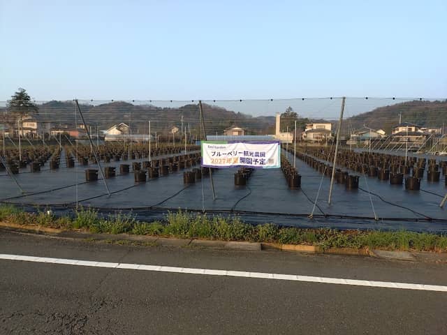 Emi Garden ブルーベリー観光農園 - Image 1