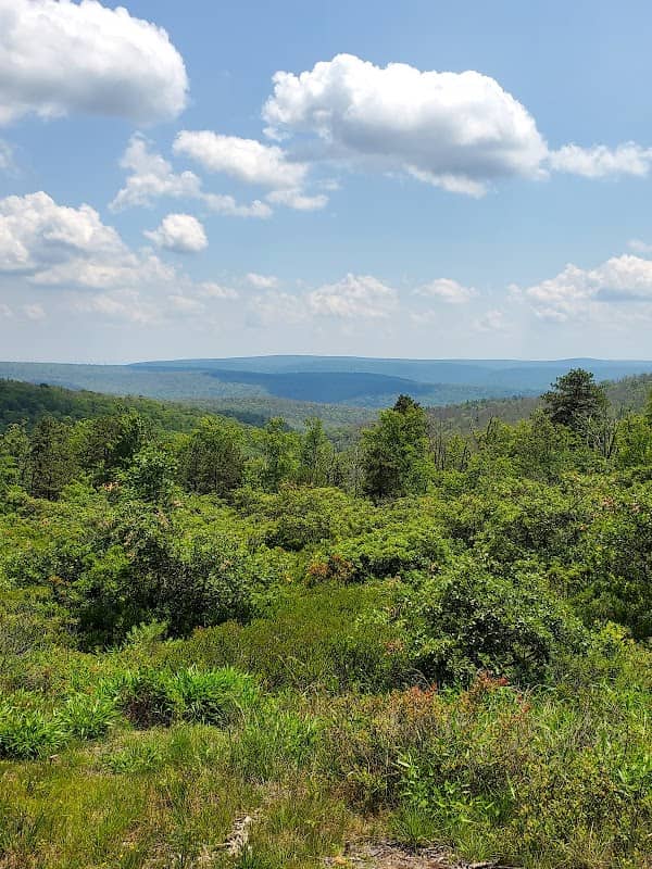 Dark Hollow Vista, Michaux State Forest - Image 1