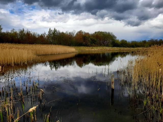 Rainton Meadows Nature Reserve - Image 2