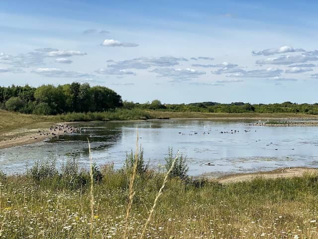 Rainton Meadows Nature Reserve - Image 1