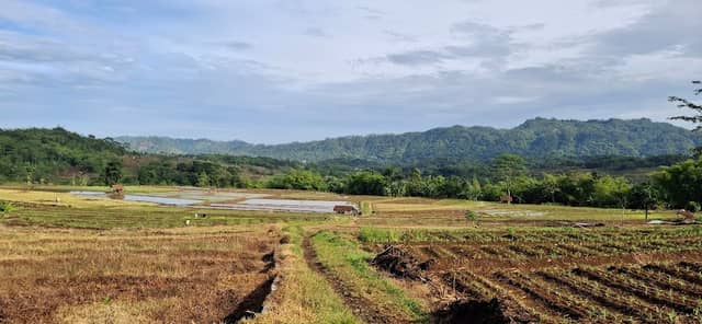 Rest area gunung seureuh - Image 1