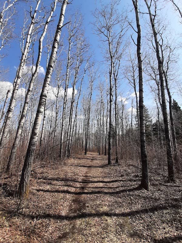 Spruce River Highlands Trail - Image 2