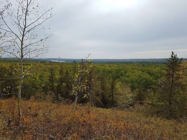 Spruce River Highlands Trail - Image 1