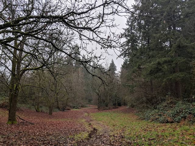 Tranquility Nature Area - Image 2