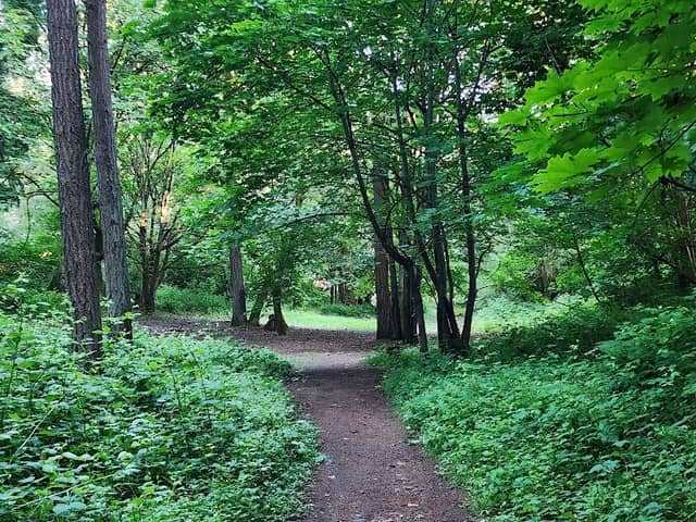 Tranquility Nature Area - Image 3