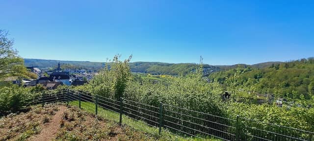 Aussichtsbank am Schlossberg - Image 2