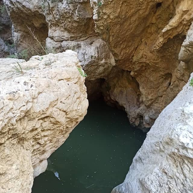 Orghe Nere (Urghi Nivuri) - Image 1