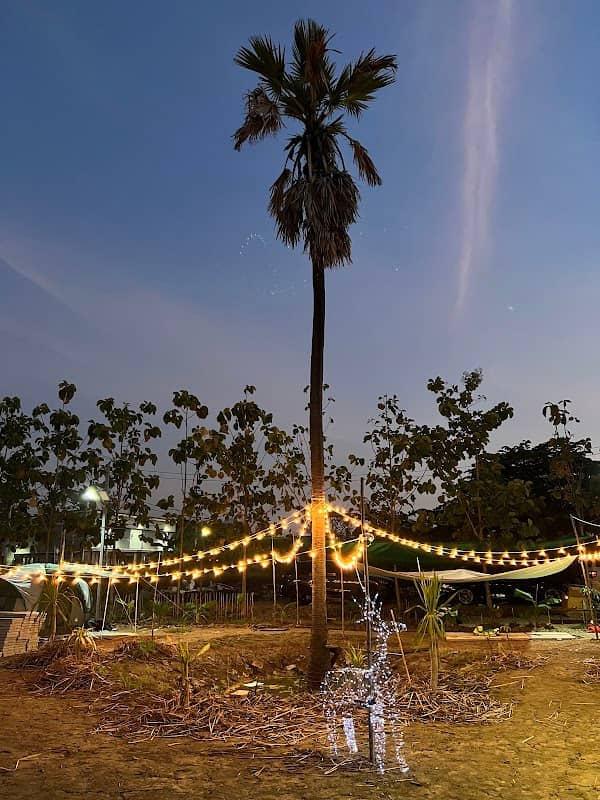 LS Garden - Image 1
