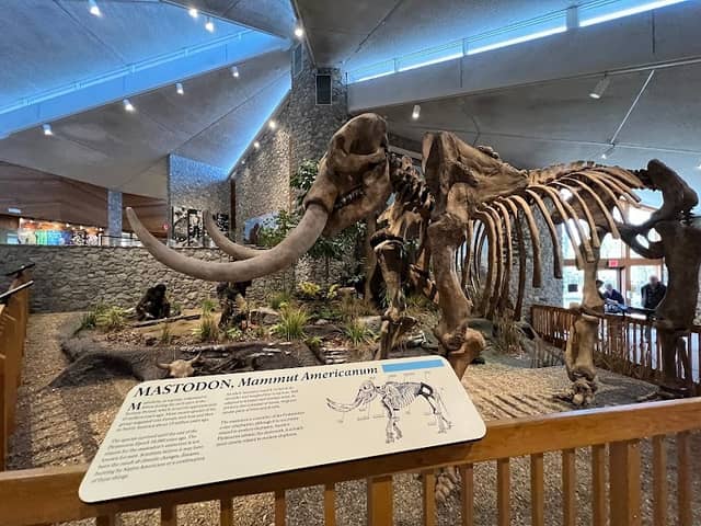 Mastodon State Historic Site - Image 1