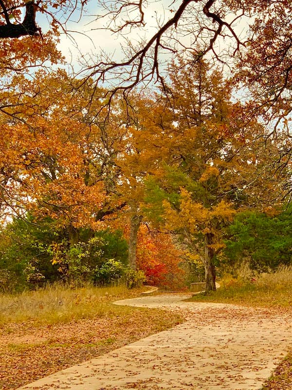 Thrive Nature Park - Image 1