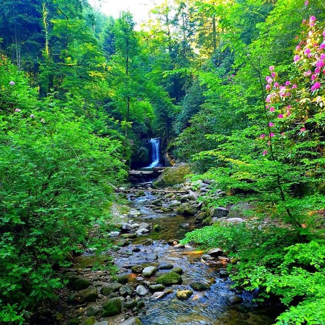 Geroldsauer Wasserfall - Image 2