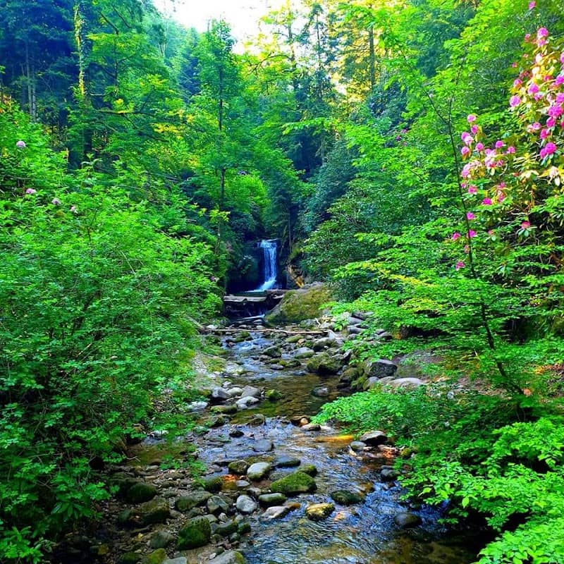 Geroldsauer Wasserfall - Image 2