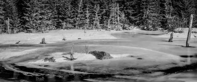 Le marais du Chemin du Nordet - Image 1