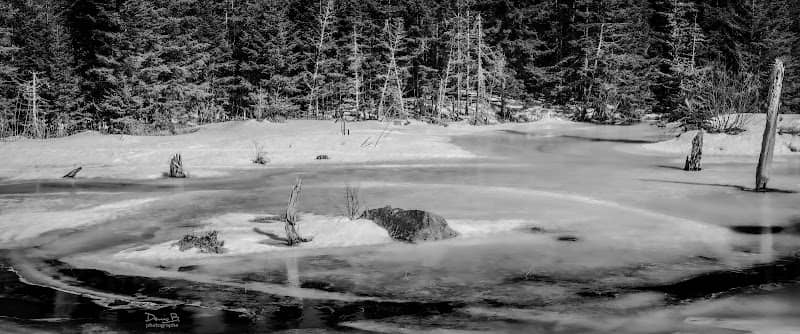 Le marais du Chemin du Nordet - Image 1