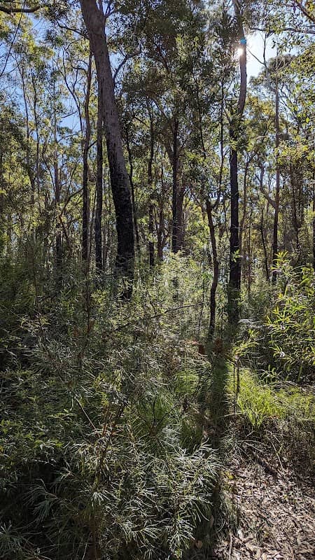 Ulladulla Wildflower Reserve - Image 2