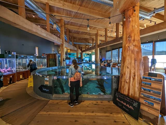 Ucluelet Aquarium - Image 1