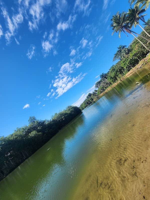 desembocadura rio camu - Image 1
