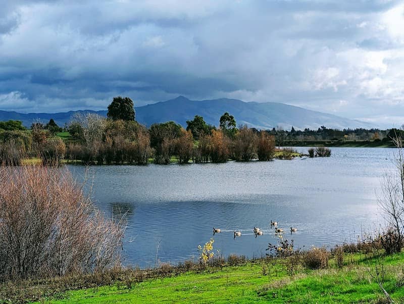 Quarry Lakes Regional Recreation Area - Image 2