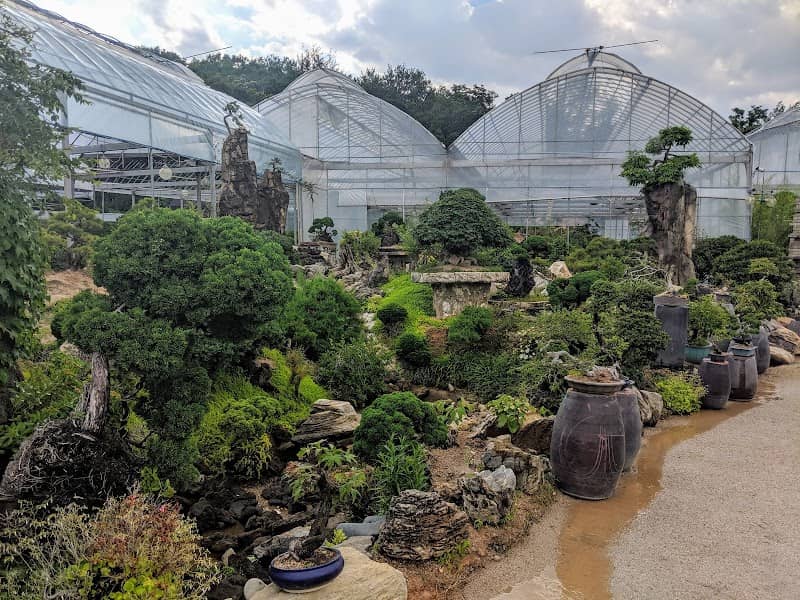 Korea Bonsai Museum | 분재박물관 - Image 2