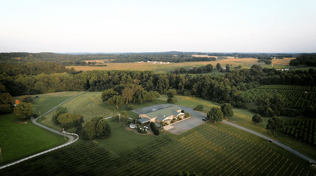 Uwharrie Vineyards & Winery - Image 2