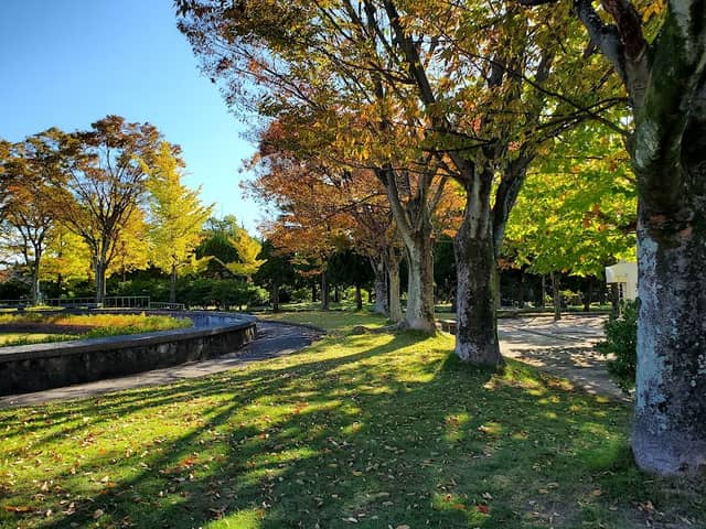 Kaizuka Park - Image 2