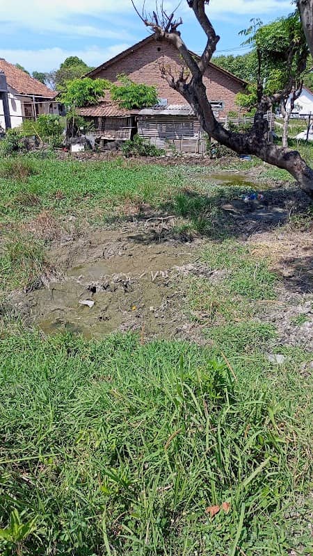 Pemancingan bahrudin - Image 1