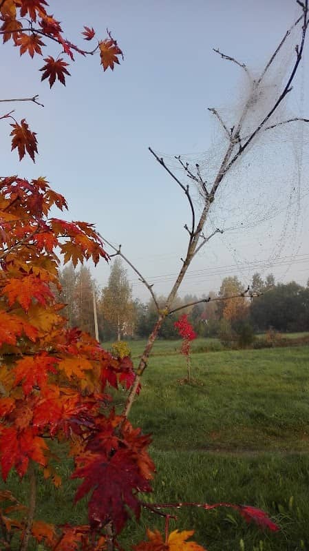 Knight Park - Image 1