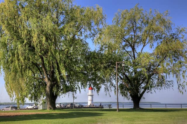 St. Louis Park - Image 1