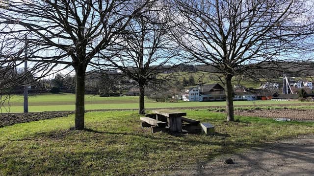 Baumkapelle Bünztal - Image 2