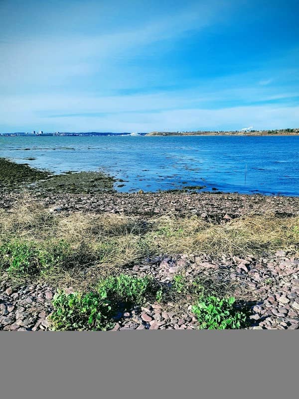 Anthonys Cove - Image 1