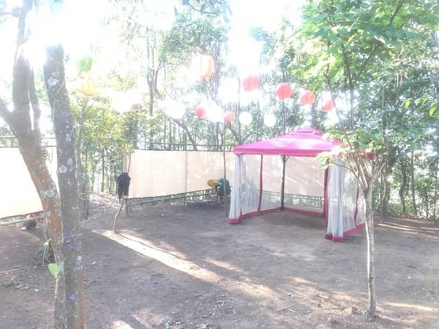 Sanayaima Ching - Image 1