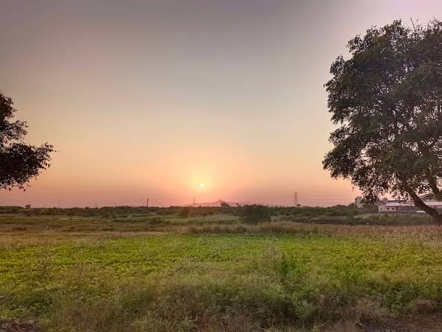 Kavthekar Mala - Image 1