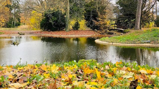 Lange Bahn im Schlossgarten - Image 2