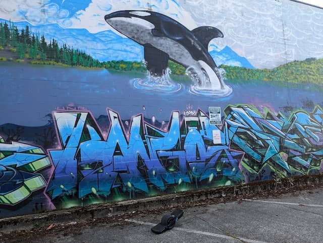 "Orca Major" Graffiti Mural - Image 1