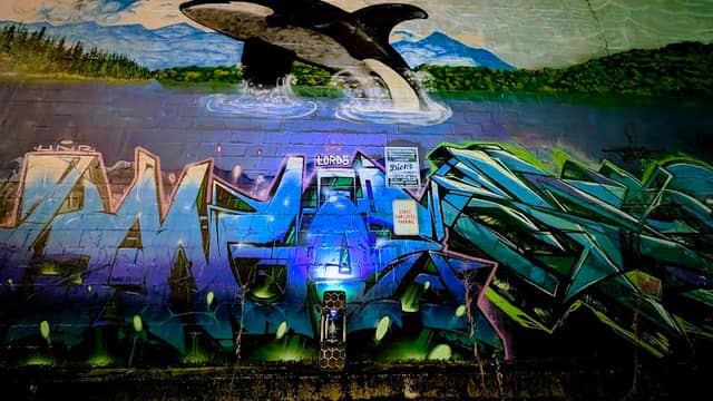 "Orca Major" Graffiti Mural - Image 2