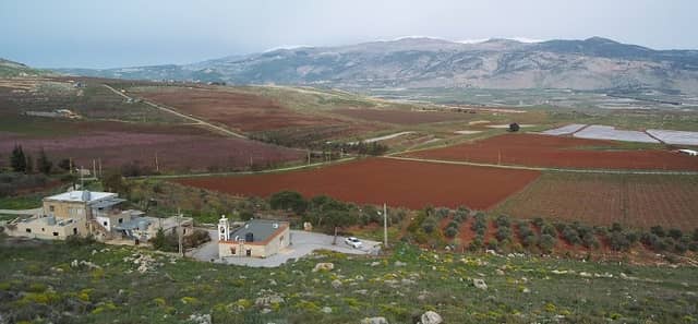 Sarada Nature Site for Iris bismarckiana - Image 1