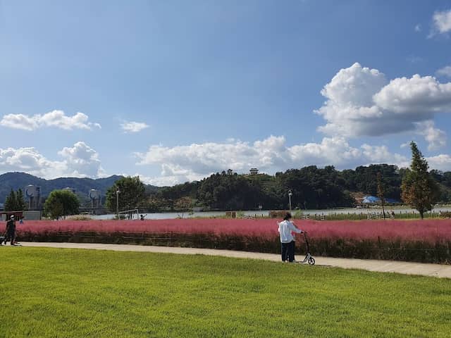 Chilgok-bo Ecological Park - Image 1