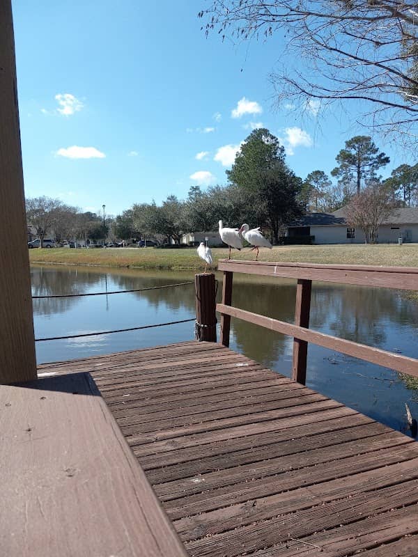 Cross Pines Park - Image 2