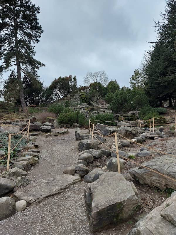 Alpinum im Grugapark - Image 2