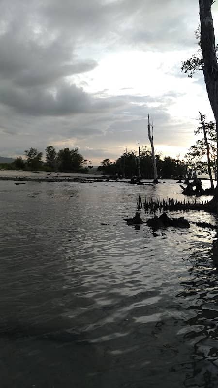 Blang Ulam, Gampong Lamreh - Aceh Besar - Image 1