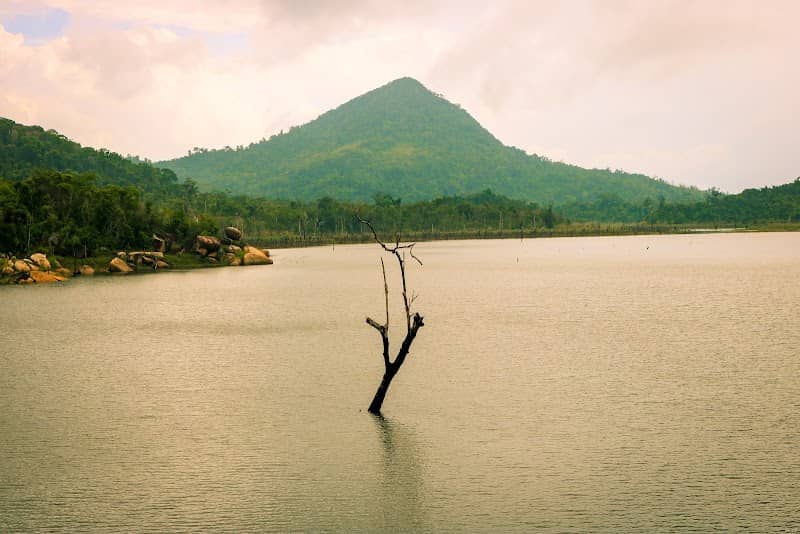 Hồ Tiên Du - Image 1