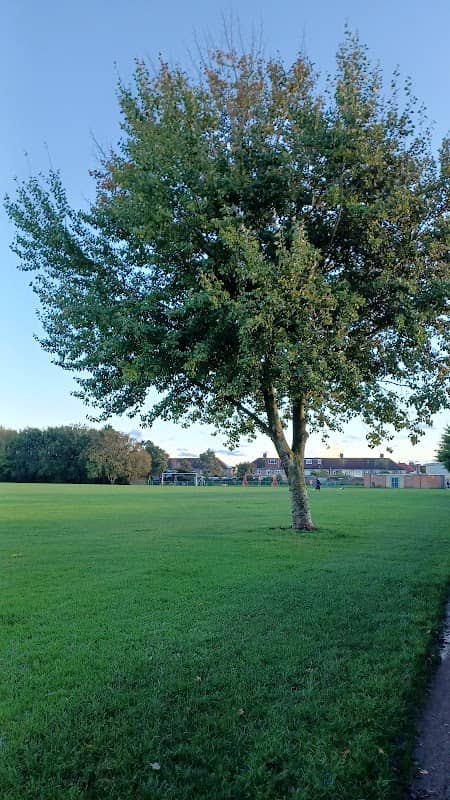 Park - Image 1