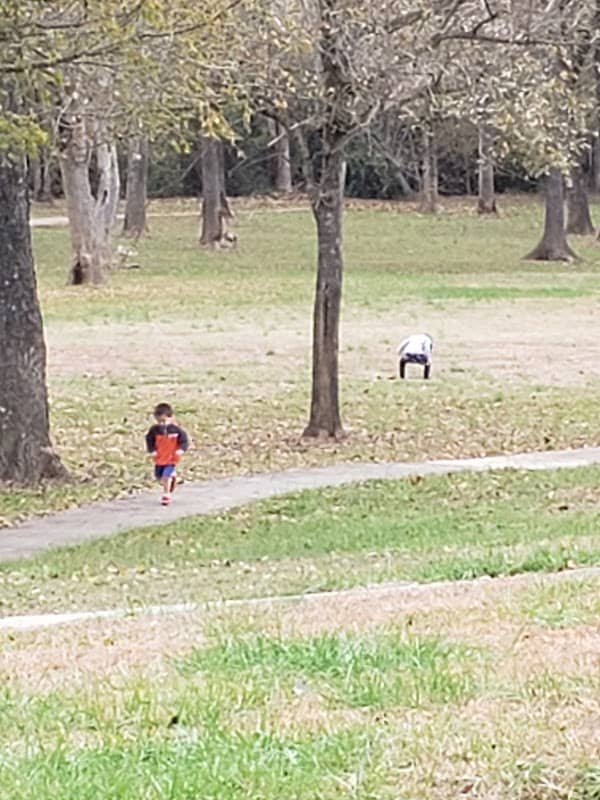 Quiet Creek Park - Image 2