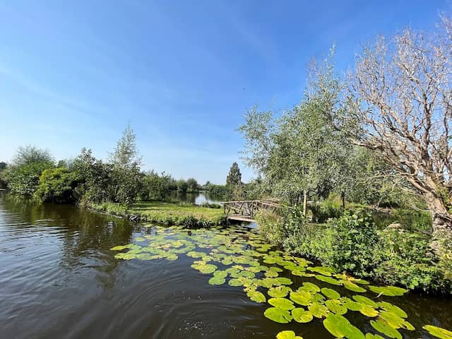 Natuurgebied De Lansing - Image 1