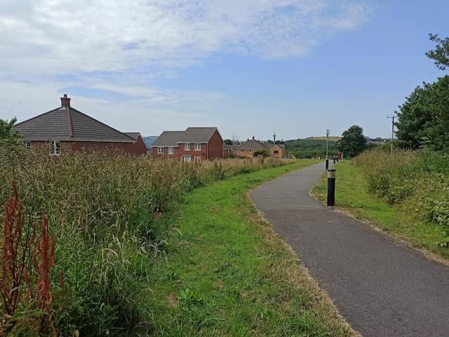 Crymlyn Parc NPT Bee Friendly Site - Image 1