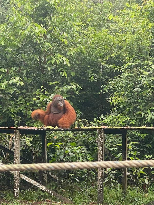 Desa Wisata Sungai Sekonyer - Image 1